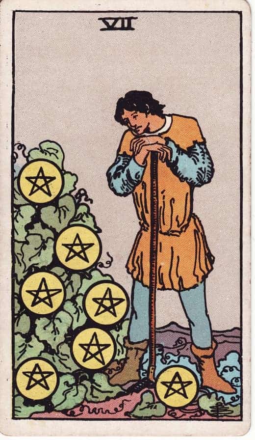 펜타클 7 (Seven of Pentacles)