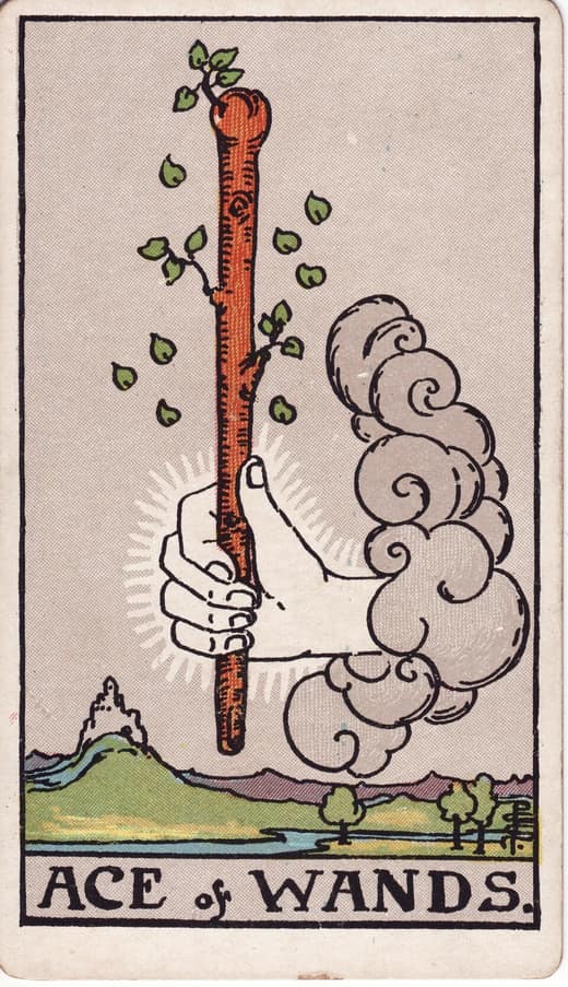완드 에이스 (Ace of Wands)