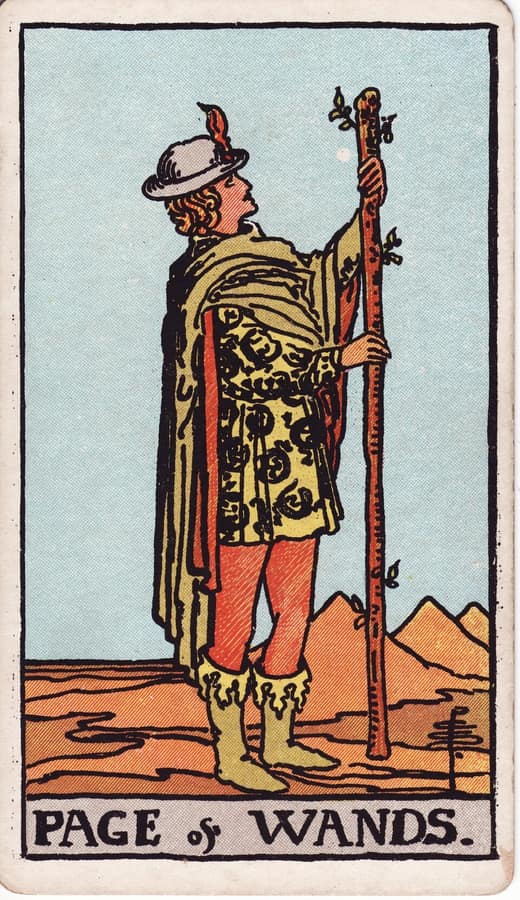 완드 시종 (Page of Wands)