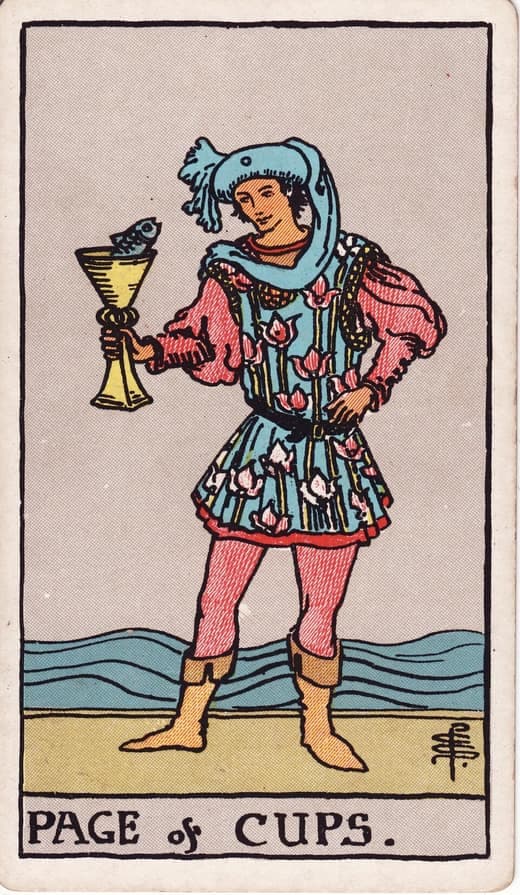 컵 시종 (Page of Cups)