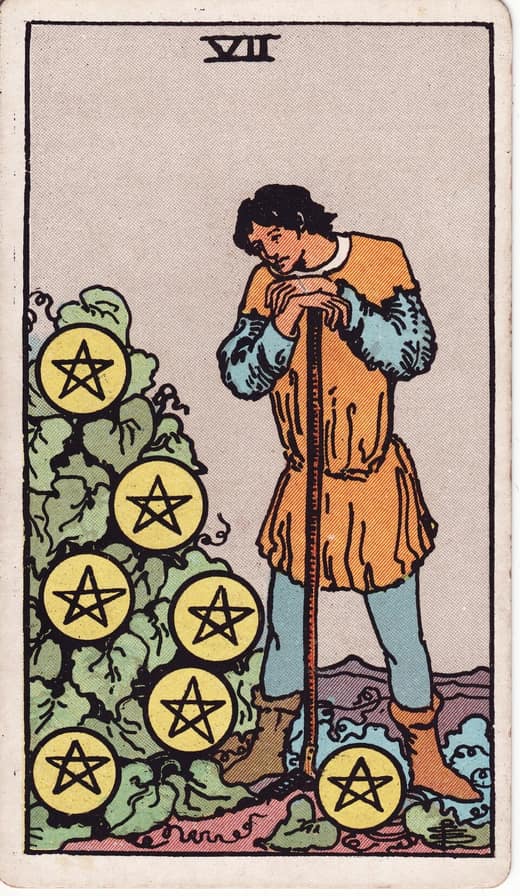 펜타클 7 (Seven of Pentacles)